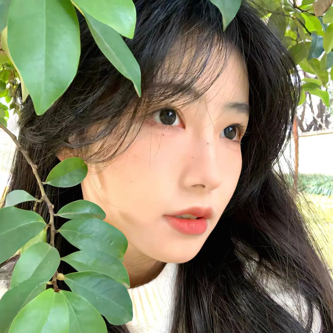 三朵花