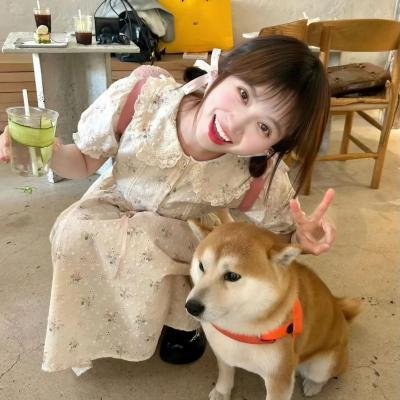 奇怪的猫咪